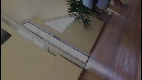 24569